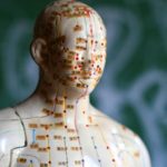tcm-concept-theory_LS_ISP_5044954Vert